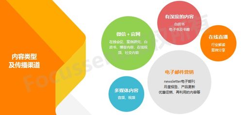 B2B科技公司 企業營銷戰略布局、技術轉讓與咨詢的落地實踐方法